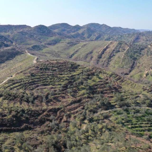 Të Shitet Tokë 11,200 m² në Mjull Bathore, Tiranë — Tiranë